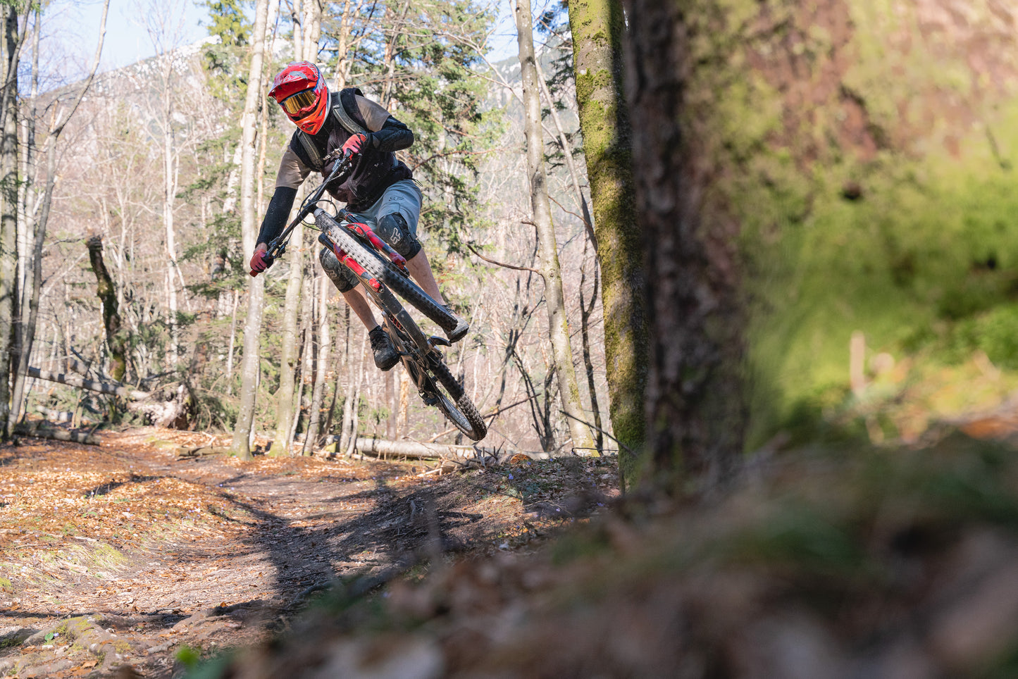 Porsche 2 | Jump- und Dropkurs Bikepark Leogang