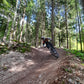 Bike Camp Paganella 2025