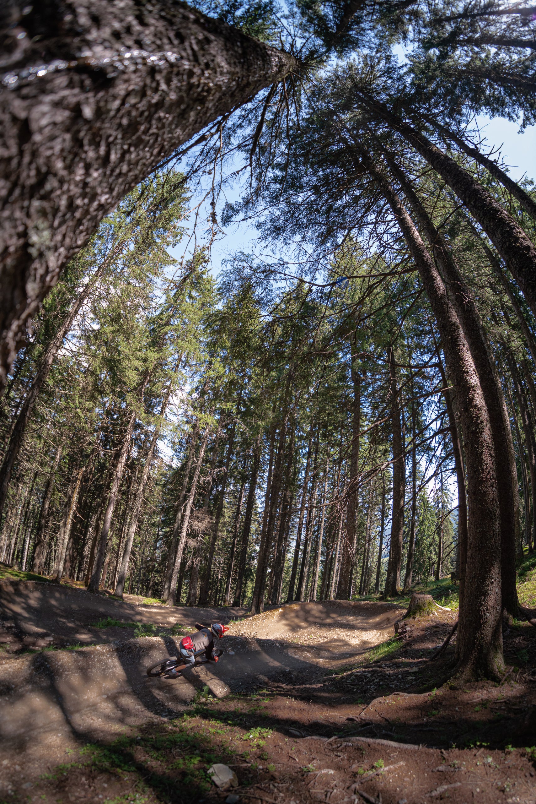 Bikepark-Training in Leogang mit einem Guide der Bikeschule Salzburg